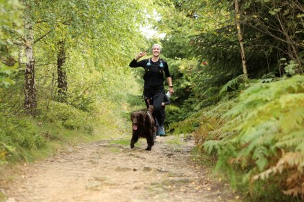 dogtrekking_2022